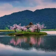 景点模块 