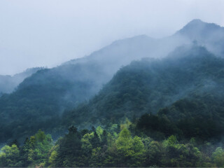 春节昆明旅行团_昆明双人十日游多少钱_春节去昆明旅游