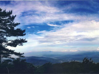 云南元陽梯田旅游跟團(tuán)需多少錢_云南元陽梯田游特價團(tuán)_云南元陽梯田報團(tuán)旅游多少錢
