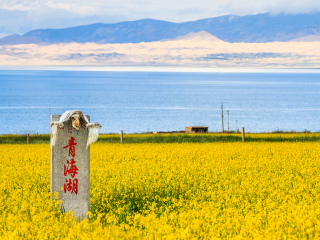 深圳到蘭州青海湖旅游報(bào)價_蘭州青海湖旅行跟團(tuán)_去蘭州青海湖游要多少錢