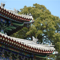 景点模块 