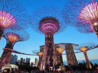 到印度旅游跟团_印度旅游行程安排_印度观光游