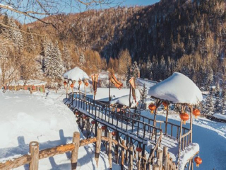 哈尔滨旅游最新_哈尔滨跟团游旅游_组团去哈尔滨
