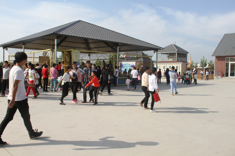 新发现一个旅游游玩的好地方——沧州市丰尔庄园