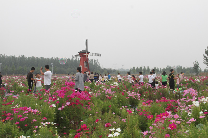 新发现一个旅游游玩的好地方——沧州市丰尔庄园