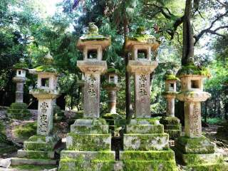 组团去日本旅游_深圳包团日本旅游_日本旅游的报价