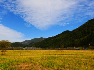 云南騰沖自由行還是跟團(tuán)好_2021去云南騰沖旅游團(tuán)報價_去云南騰沖旅游要多少錢