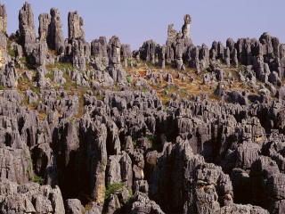 旅行團云南普者黑游_云南普者黑游價格_云南普者黑半自由行