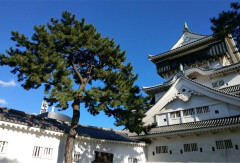 小交通模块 