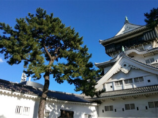 大連2人旅游需要多少錢_大連旅游路線_大連游跟團(tuán)