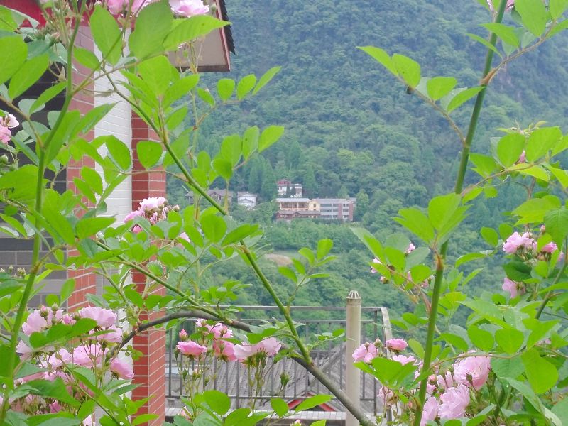 客房