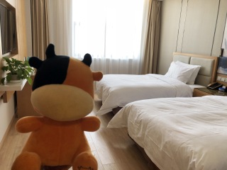 包团去新疆旅游_赴新疆旅游_新疆旅游行程单