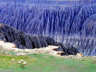 新疆烏魯木齊九月旅游_新疆烏魯木齊旅游價(jià)格多少_新疆烏魯木齊2人旅游需要多少錢(qián)