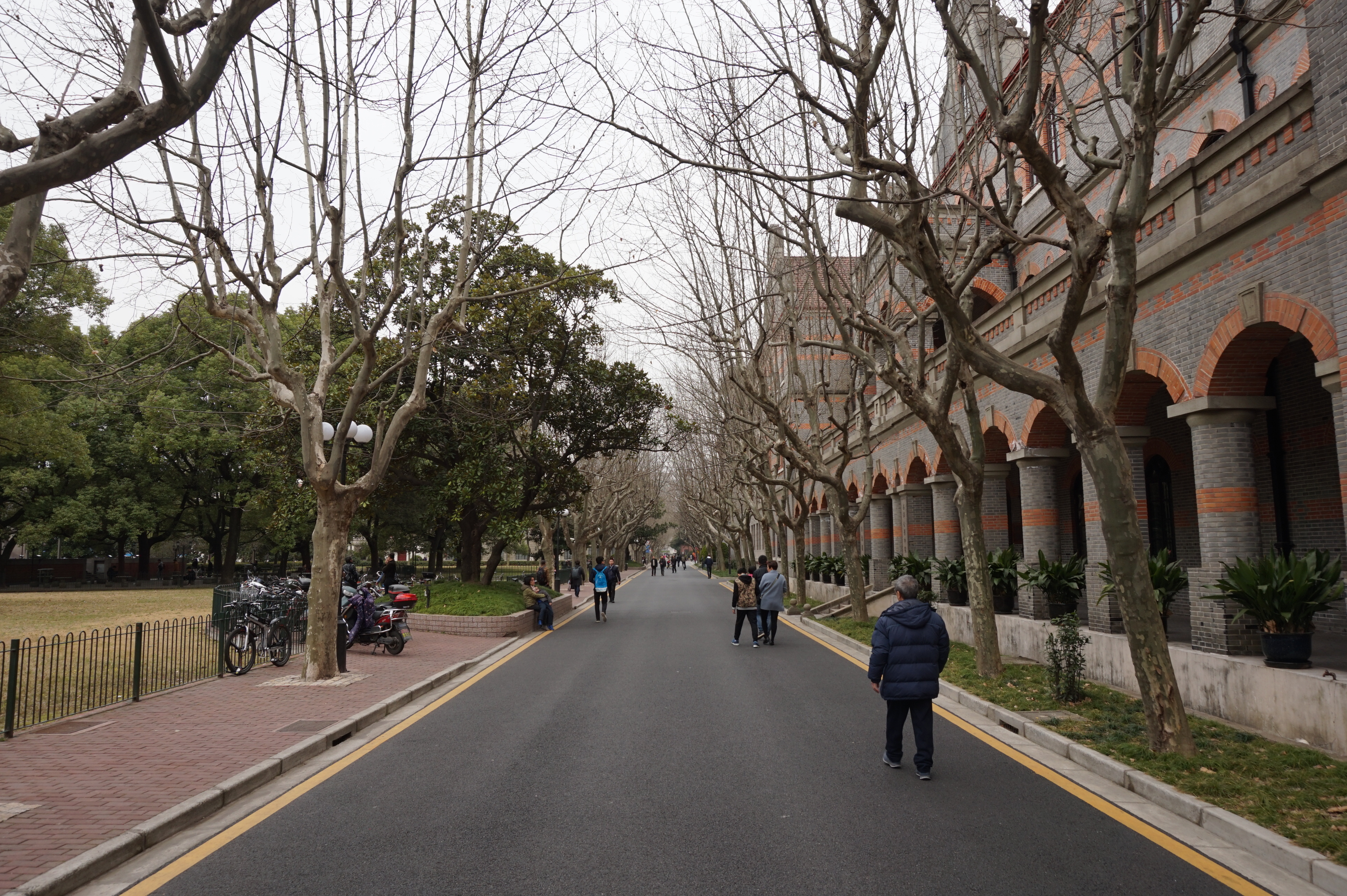 上海旅游问答 如果时间不充足,复旦大学,交通大学和同济大学只能选一