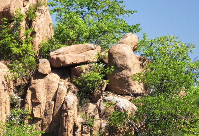 东胜神洲台可以俯瞰西游仙境全景