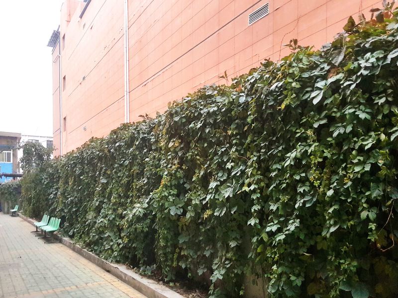 银川东方爱家公寓