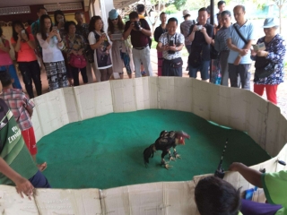 柬埔寨七日游抱团_柬埔寨旅游价目_柬埔寨旅游8日游
