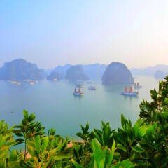 景点模块 