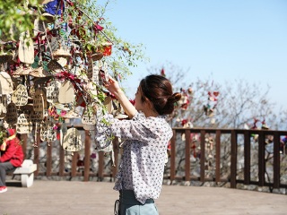 大連旅行團(tuán)_大連游8月份報(bào)價(jià)_旅行團(tuán)大連游