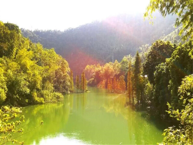 <龙虎山-圣井山高铁3日游