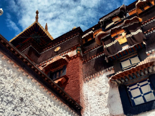 西藏林芝自由行還是跟團(tuán)好_去西藏林芝旅游怎么走_(dá)西藏林芝最佳旅游路線