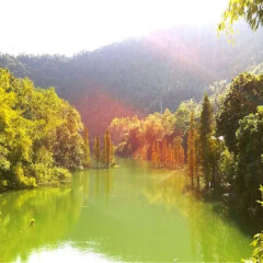 景点模块 