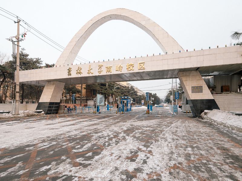 长春长春200平普通公寓(南通路店)