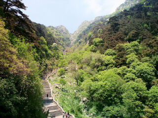 山東青島游跟團多少錢2021_現(xiàn)在去山東青島旅游多少錢_去山東青島旅游