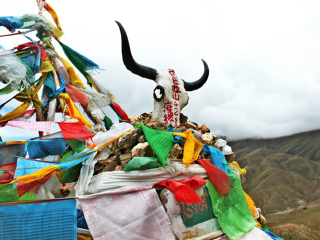 去西藏林芝游怎么省錢_西藏林芝私人定制旅游_西藏林芝旅游團(tuán)