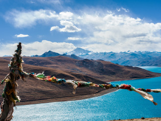 去西藏林芝游怎么省錢_西藏林芝私人定制旅游_西藏林芝旅游團(tuán)