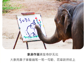 泰國清邁旅游報價_東莞到泰國清邁游_旅游去泰國清邁