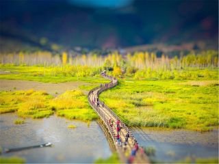 云南九日游_去云南的旅游费用_深圳去云南旅游团