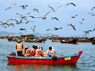 大連九月旅游_大連自由游價(jià)格多少_大連報(bào)團(tuán)旅游多少錢