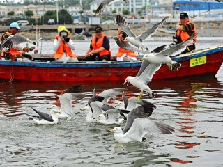 大連旅游一次多少錢_大連跟團(tuán)還是自由行_旅游團(tuán)大連