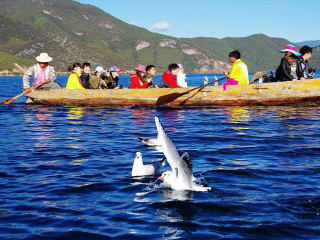 去云南香格里拉旅游_云南香格里拉私人定制旅游_云南香格里拉旅游跟團需多少錢
