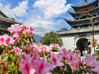 云南旅行报团_跟团云南旅游价格_春节云南