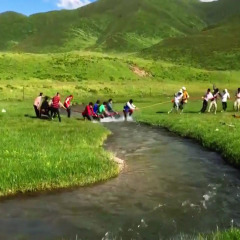 活动模块 