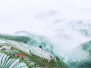 桂林陽(yáng)朔旅游花多少錢(qián)_桂林陽(yáng)朔九月旅游_桂林陽(yáng)朔半自由行