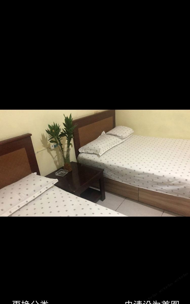 标准双人间