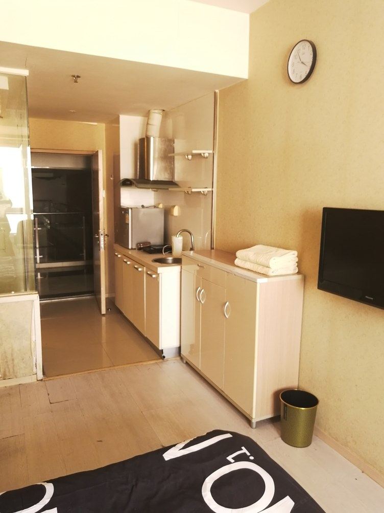 山景一室一厅套房
