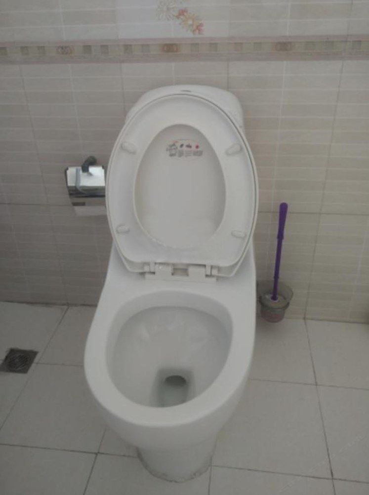 精致一室一厅套房