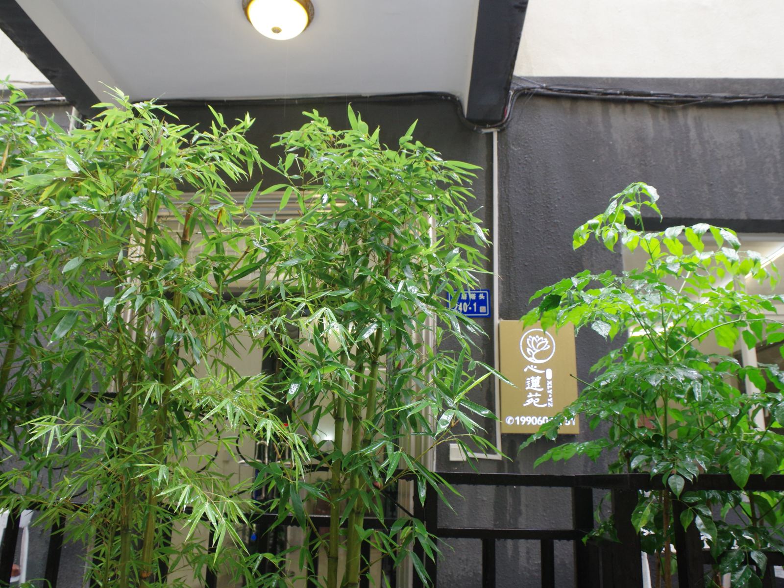 厦门心莲苑客栈