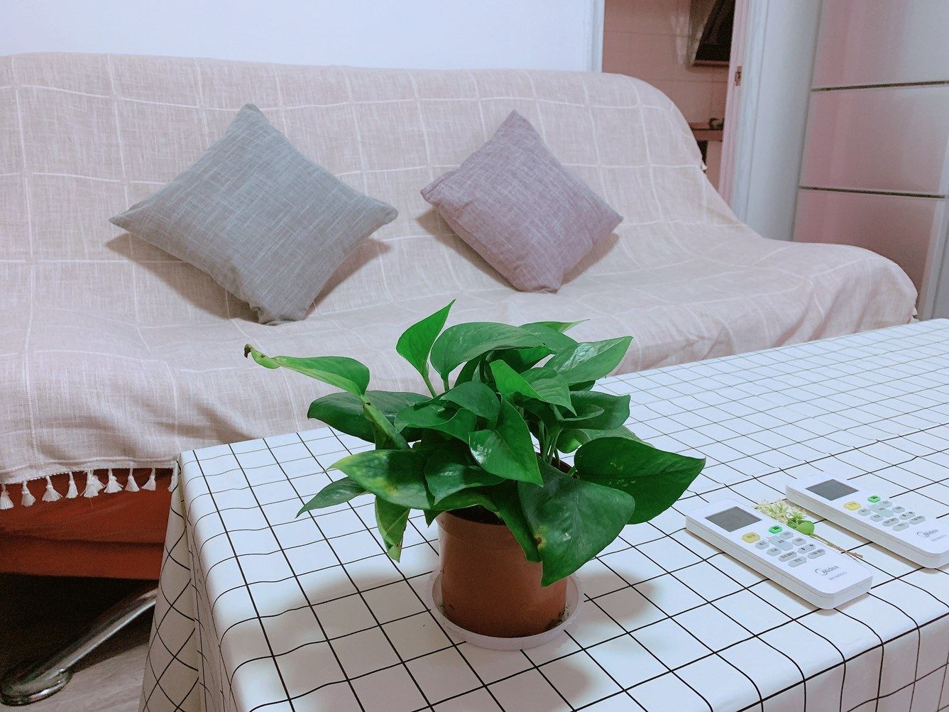 二室二床房