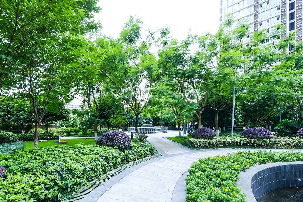 公共区域