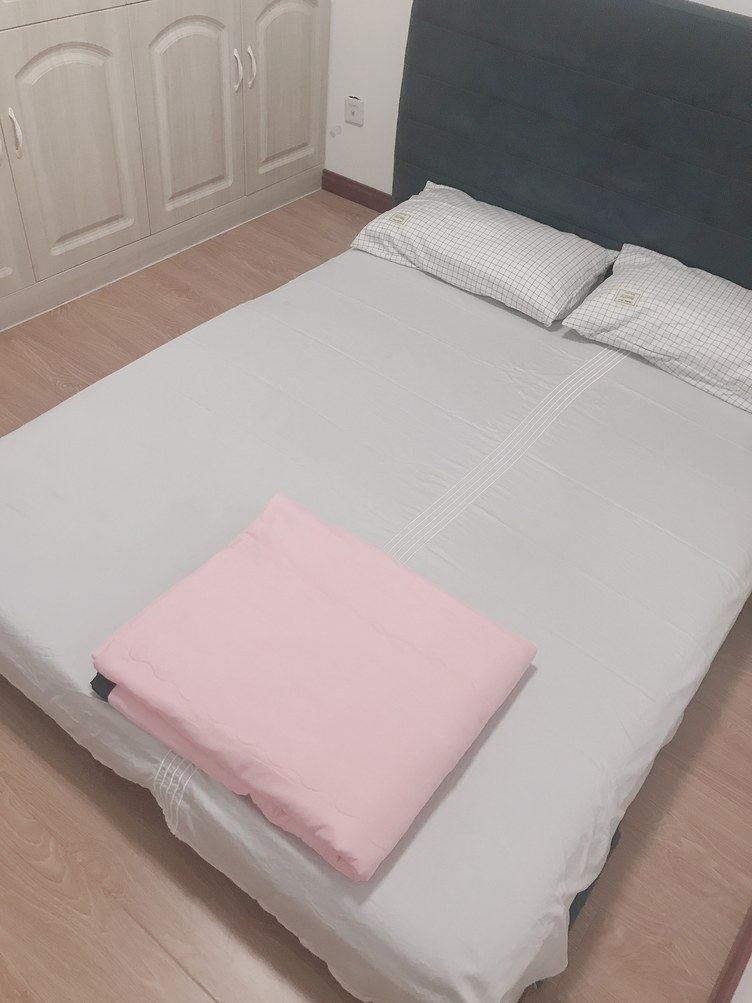精致精装二室一厅套房