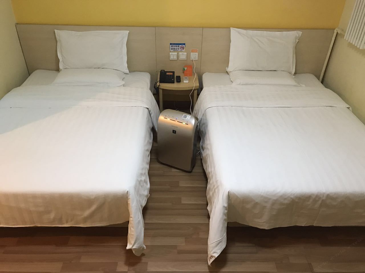 清新舒享双床房