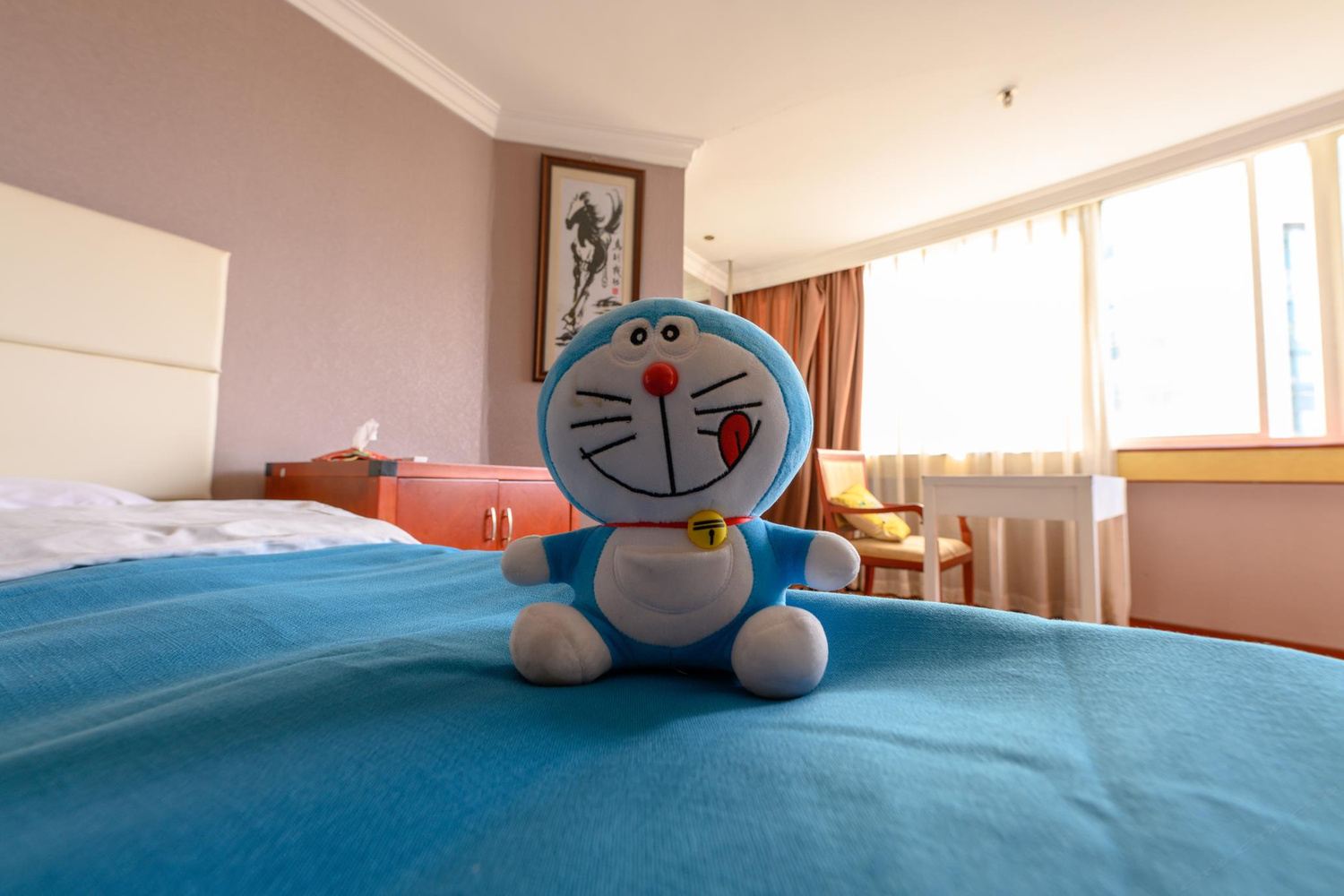 标准一居室