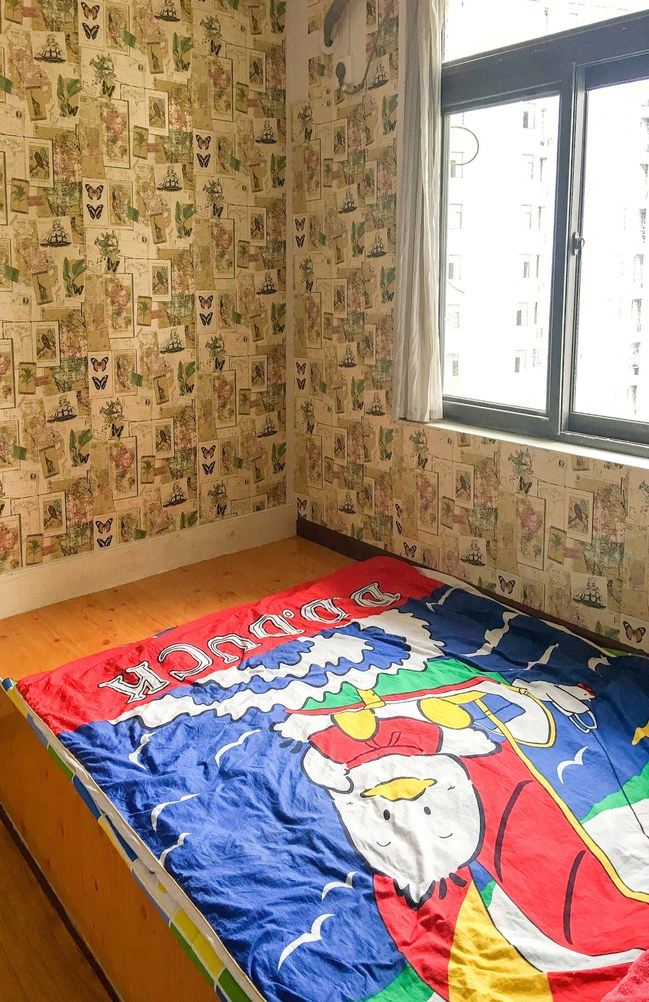 炫色舒适一居室