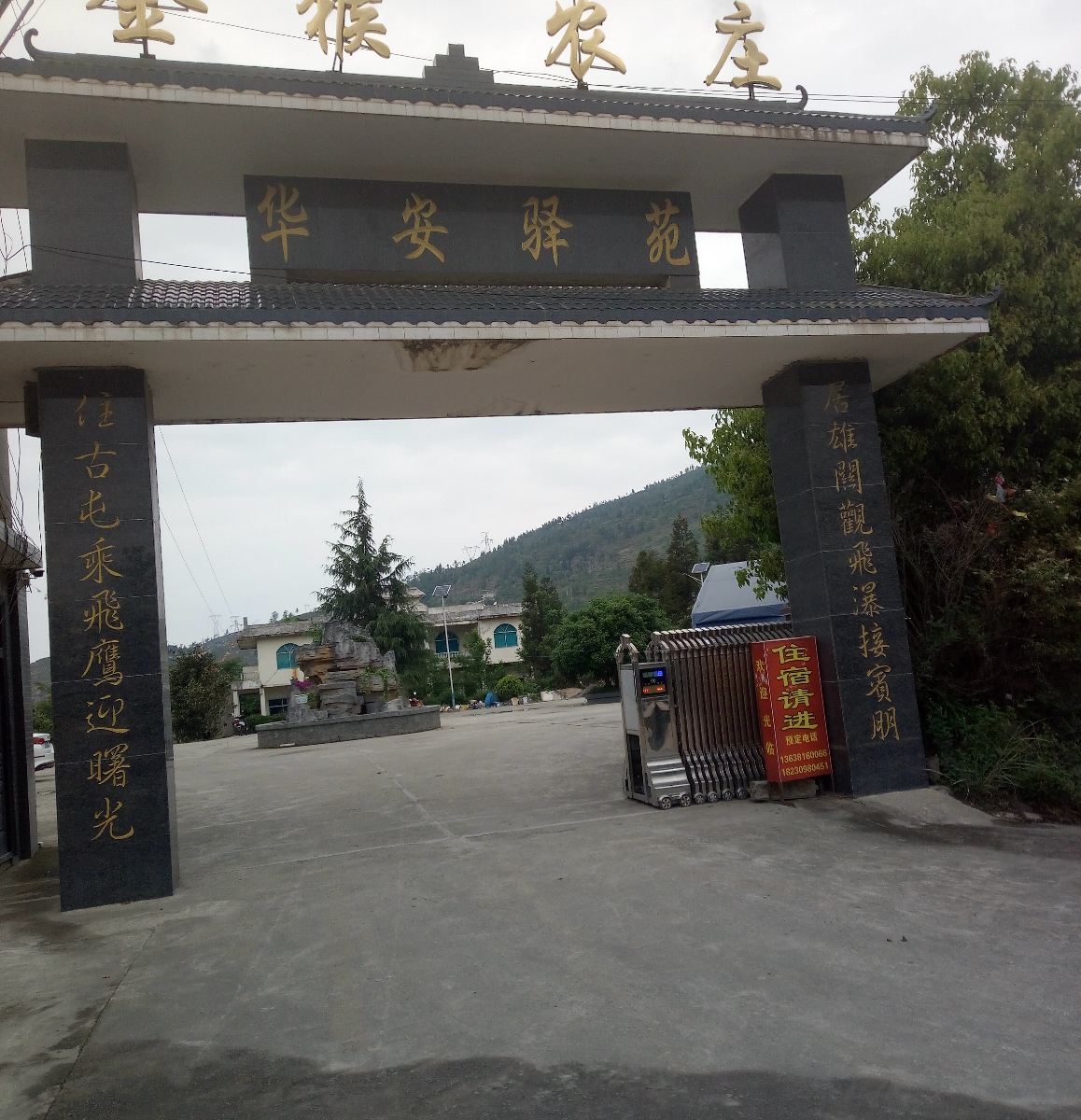 外观