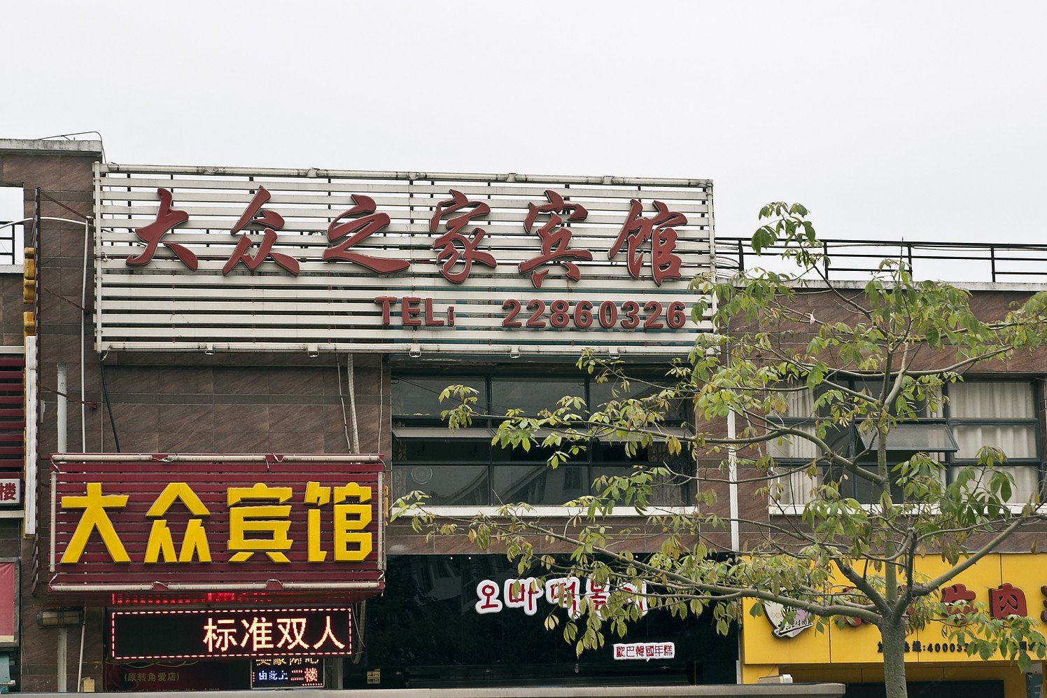 外观